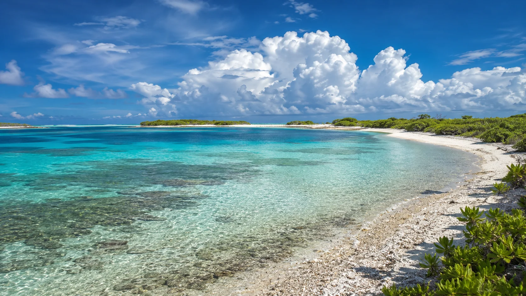 Tropical lagoon paradise