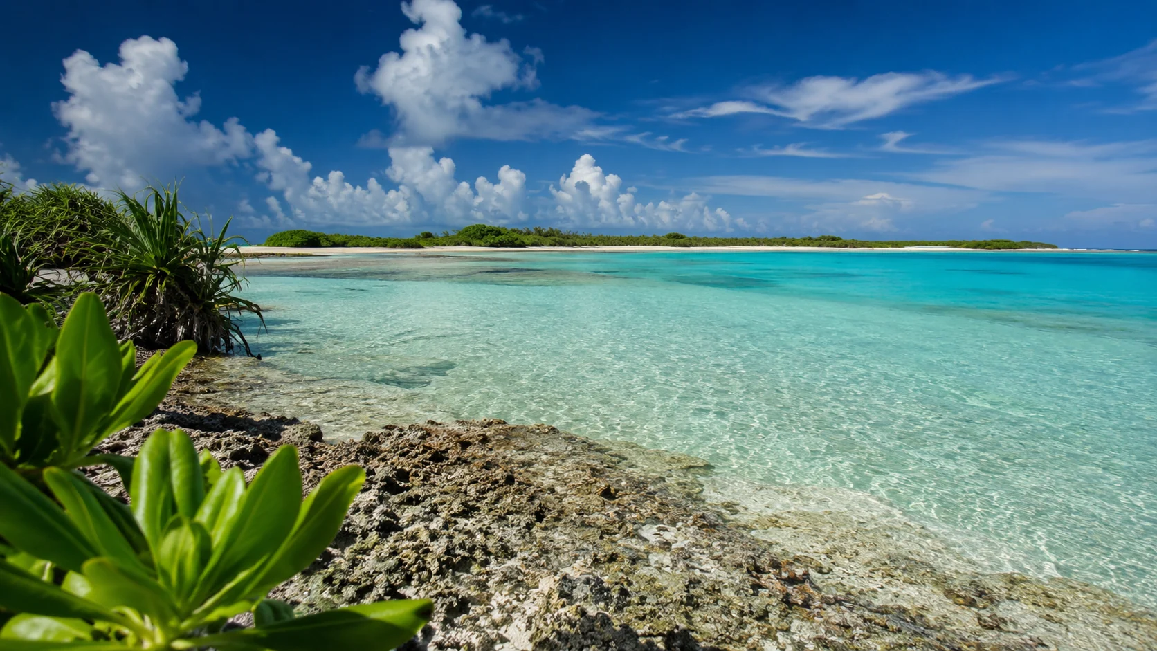Protected lagoon shoreline
